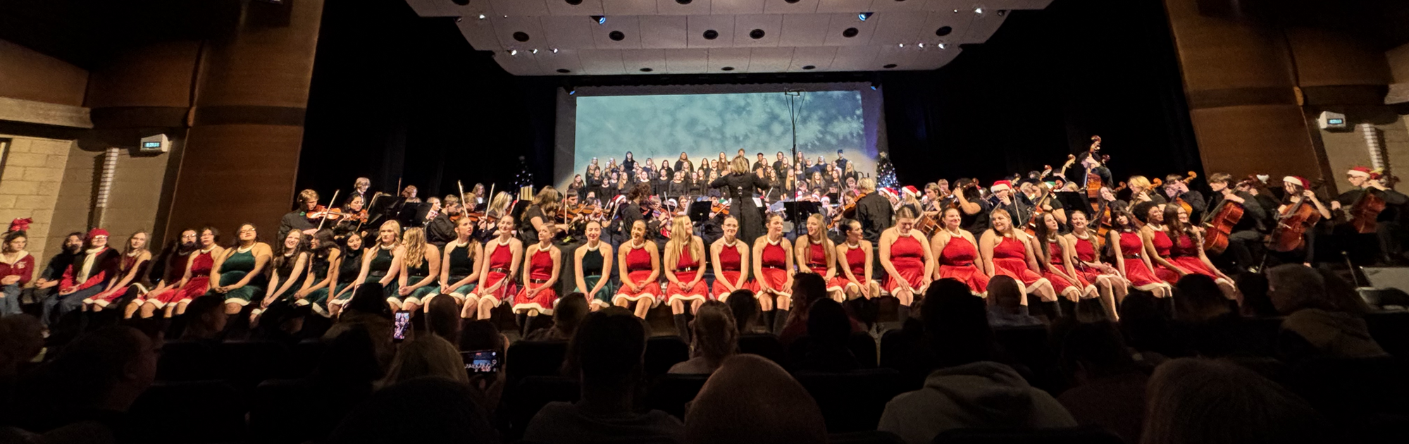 Full HS holiday collage performers