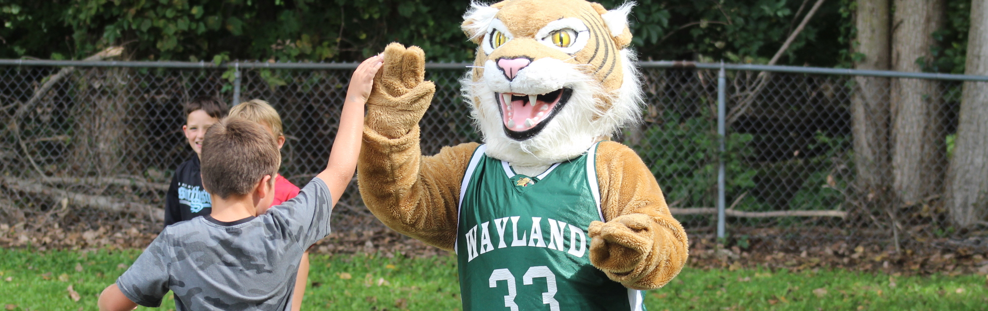 Student giving high five to Wildcat Mascot